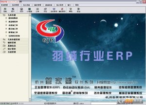 管家婆羽绒企业ERP软件