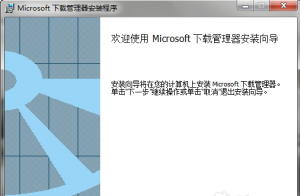 Microsoft下载管理器