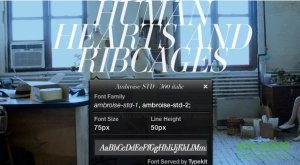 what font chrome插件(Google查看网页字体)