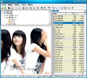 acdsee极小珍藏版 v5.0.16 绿色单文件版