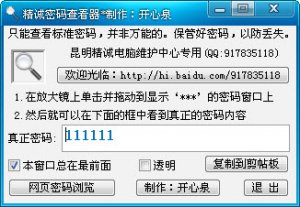精诚密码查询器 绿色纯净版_类似星号密码