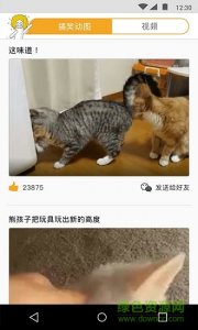 动次打次(搞笑动图视频) v1.0.1 Android版