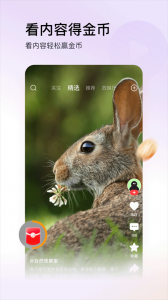 今日头条极速版ios版 v13.3.0